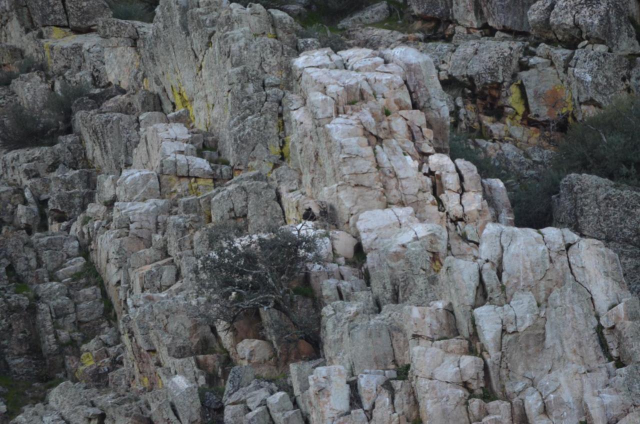 Alojamiento La Canada Monfrague Torrejón el Rubio Exteriér fotografie